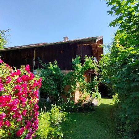 Gemuetliche Ferienwohnung Mit Kamin Und Garten Garmisch-Partenkirchen Extérieur photo